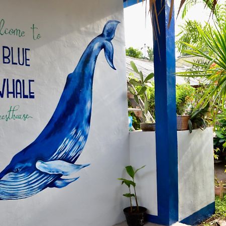 غيلي تراوانغان Blue Whale Guesthouse المظهر الخارجي الصورة