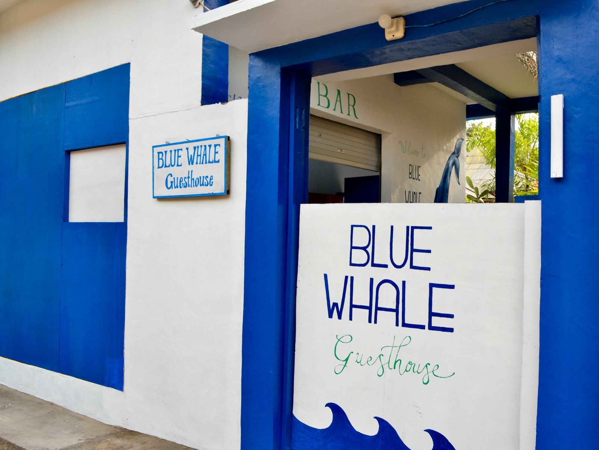 غيلي تراوانغان Blue Whale Guesthouse المظهر الخارجي الصورة